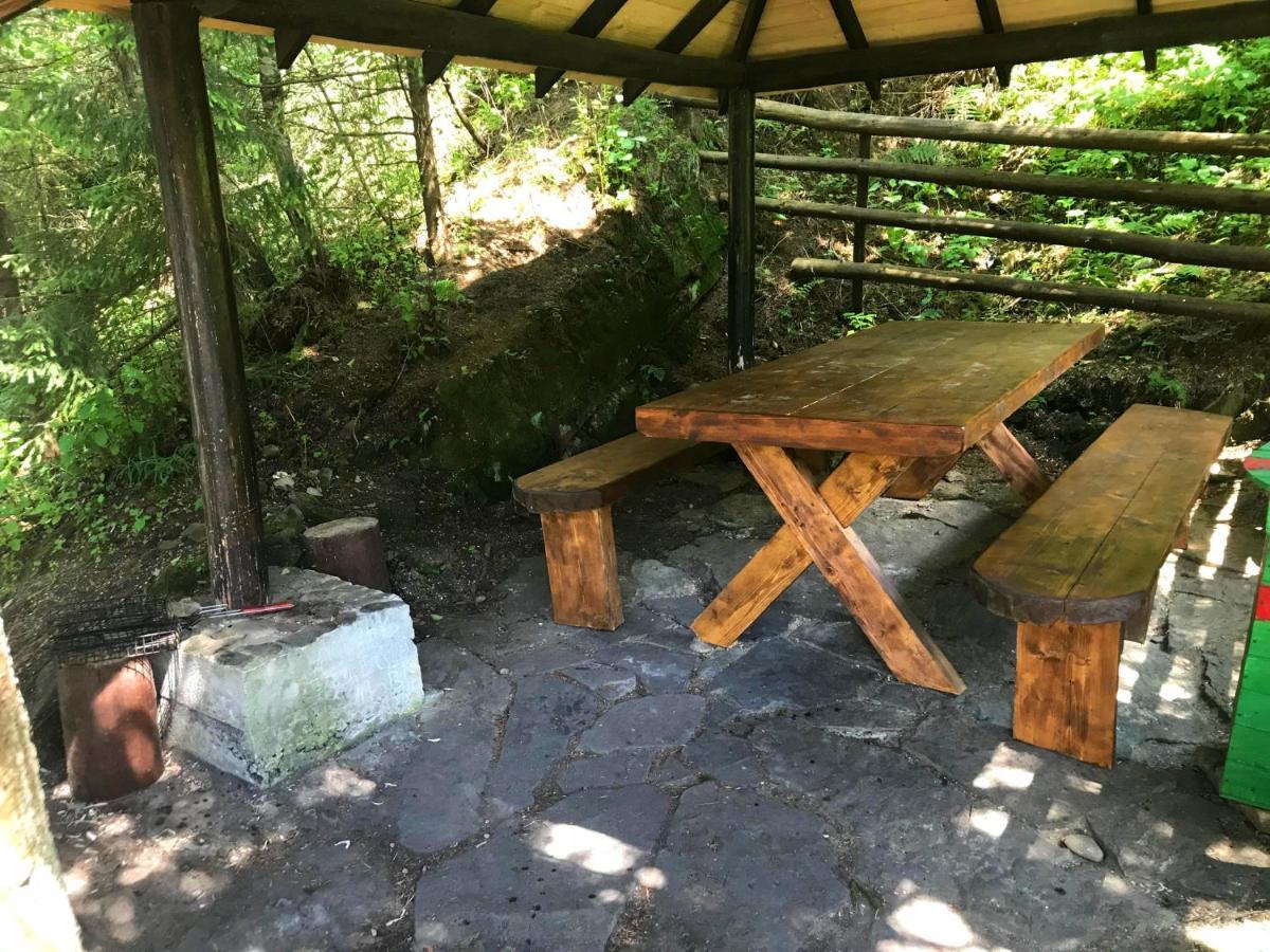 Skelia Otel Volosyanka  Dış mekan fotoğraf