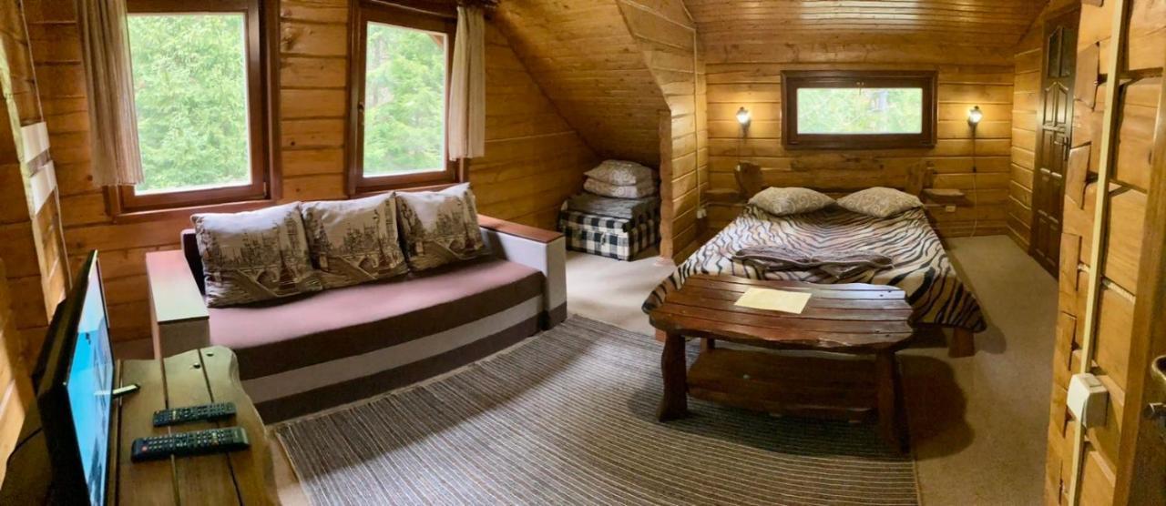 Skelia Otel Volosyanka  Dış mekan fotoğraf