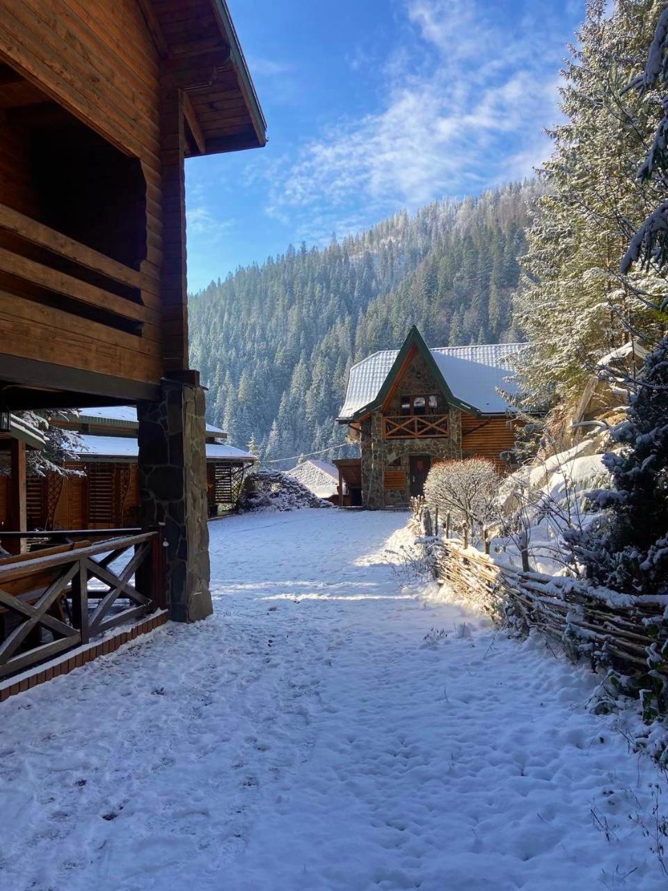 Skelia Otel Volosyanka  Dış mekan fotoğraf