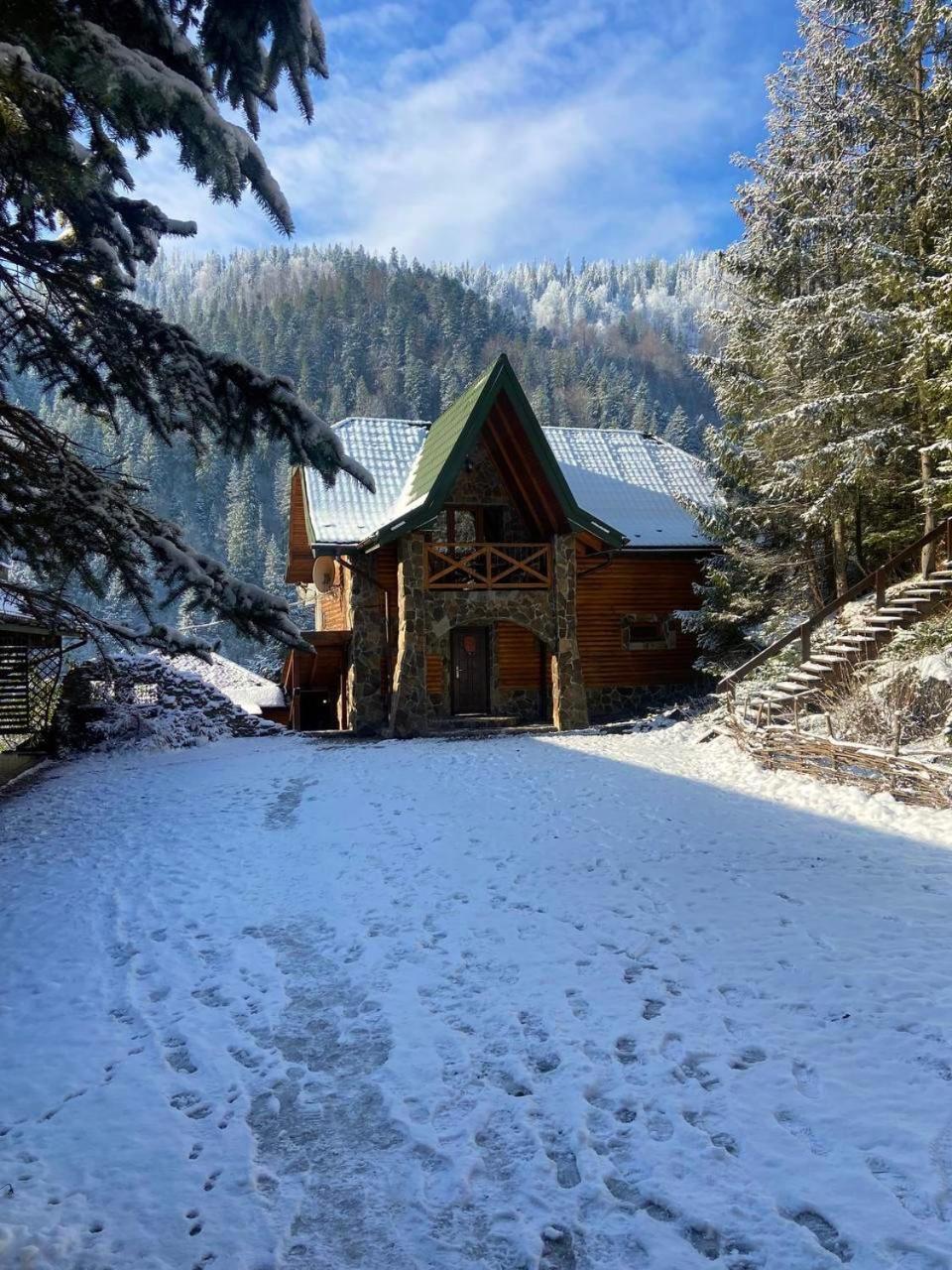 Skelia Otel Volosyanka  Dış mekan fotoğraf